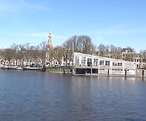 Olandese maialina